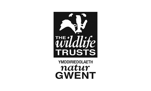 GwentWildlifeTrust