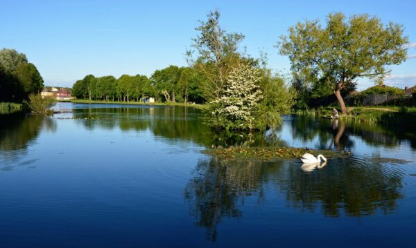 Lliswerry Pond
