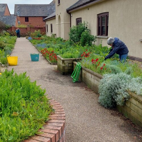 DCL allotment